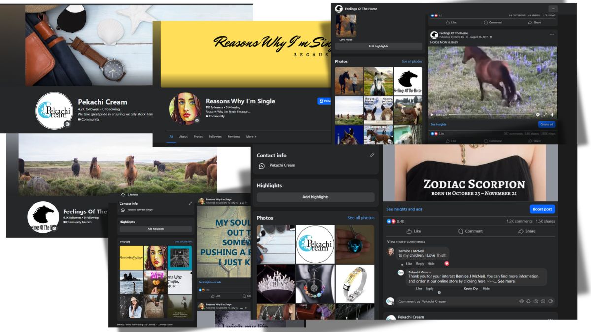 Dashboard 2